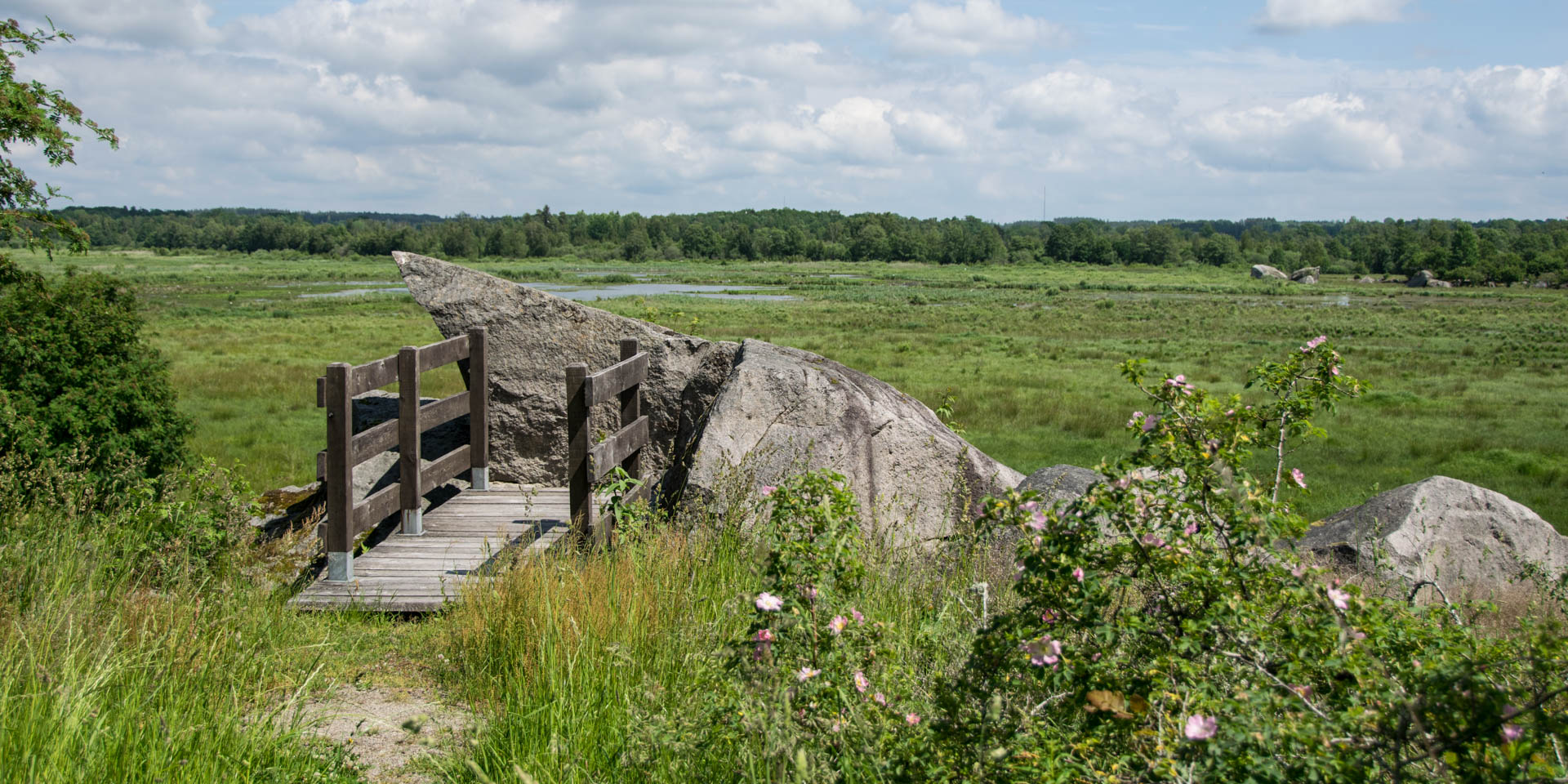 Husebymadens Naturreservat 2019