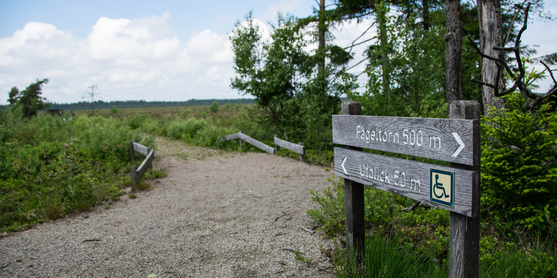 Taglamyrens Naturreservat 2019