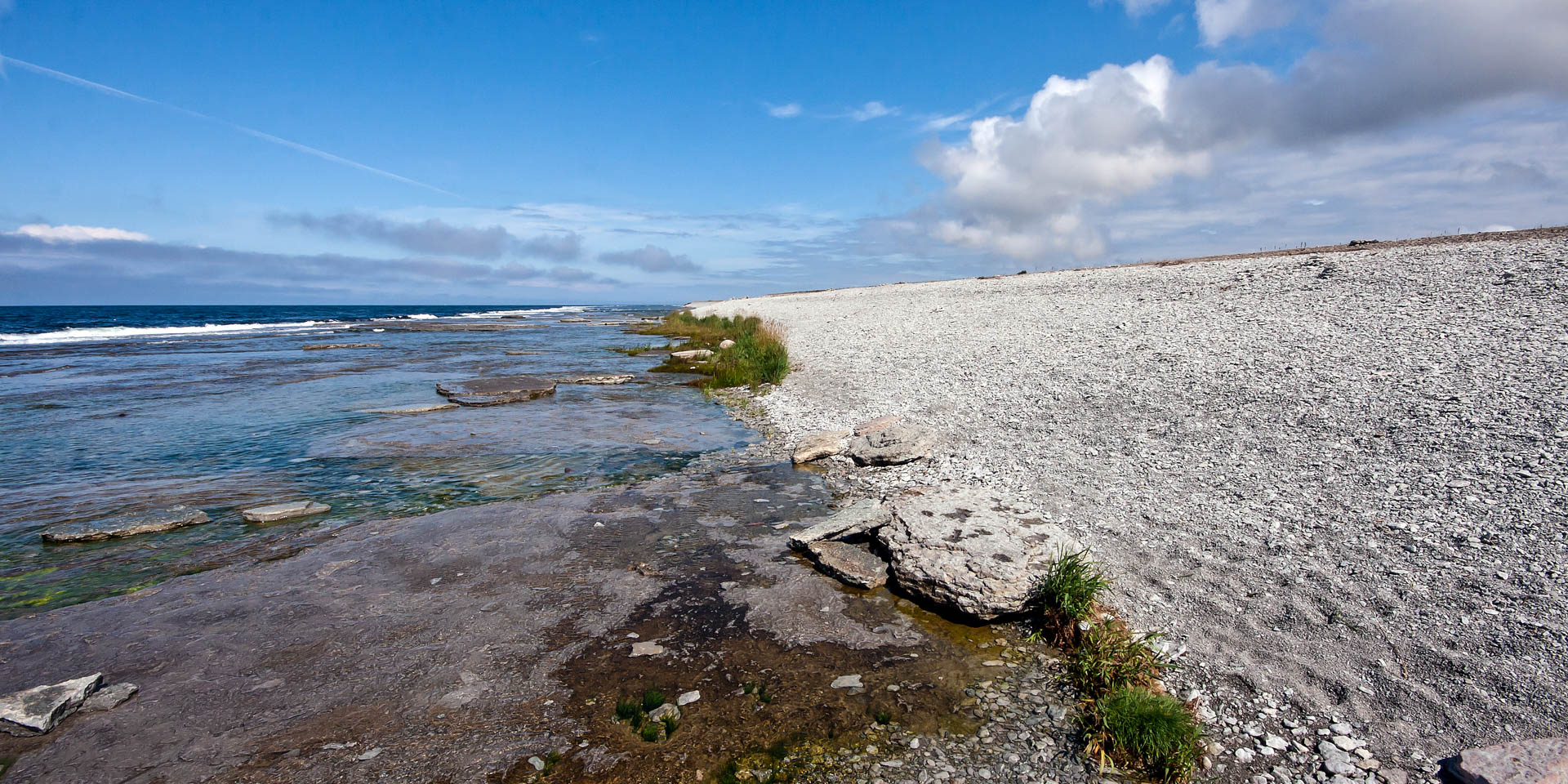 Neptuni Åkrar 2011