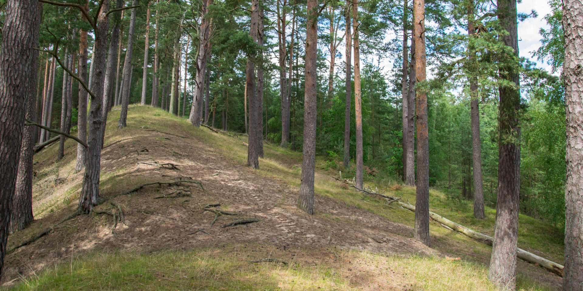 Pestbackens Naturvårdsområde 2016