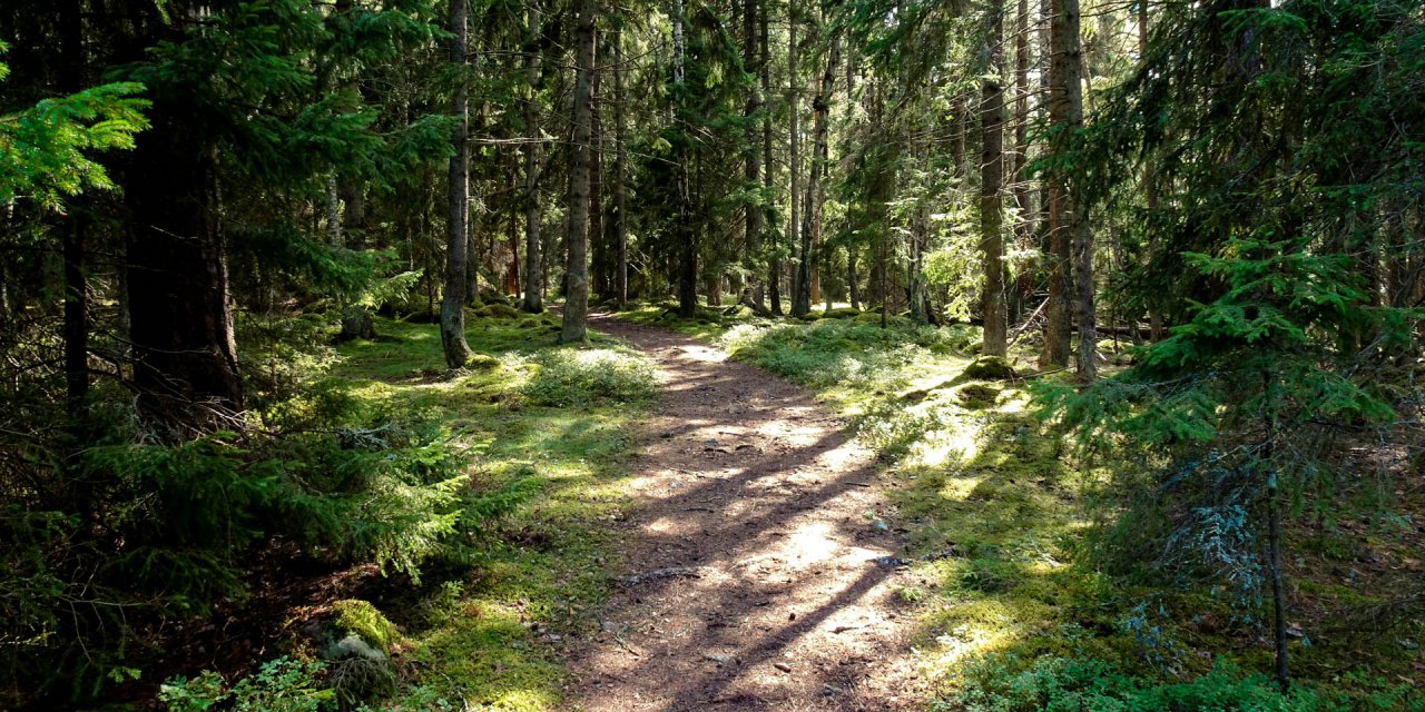 Adelsö-Sättra Naturreservat 2016