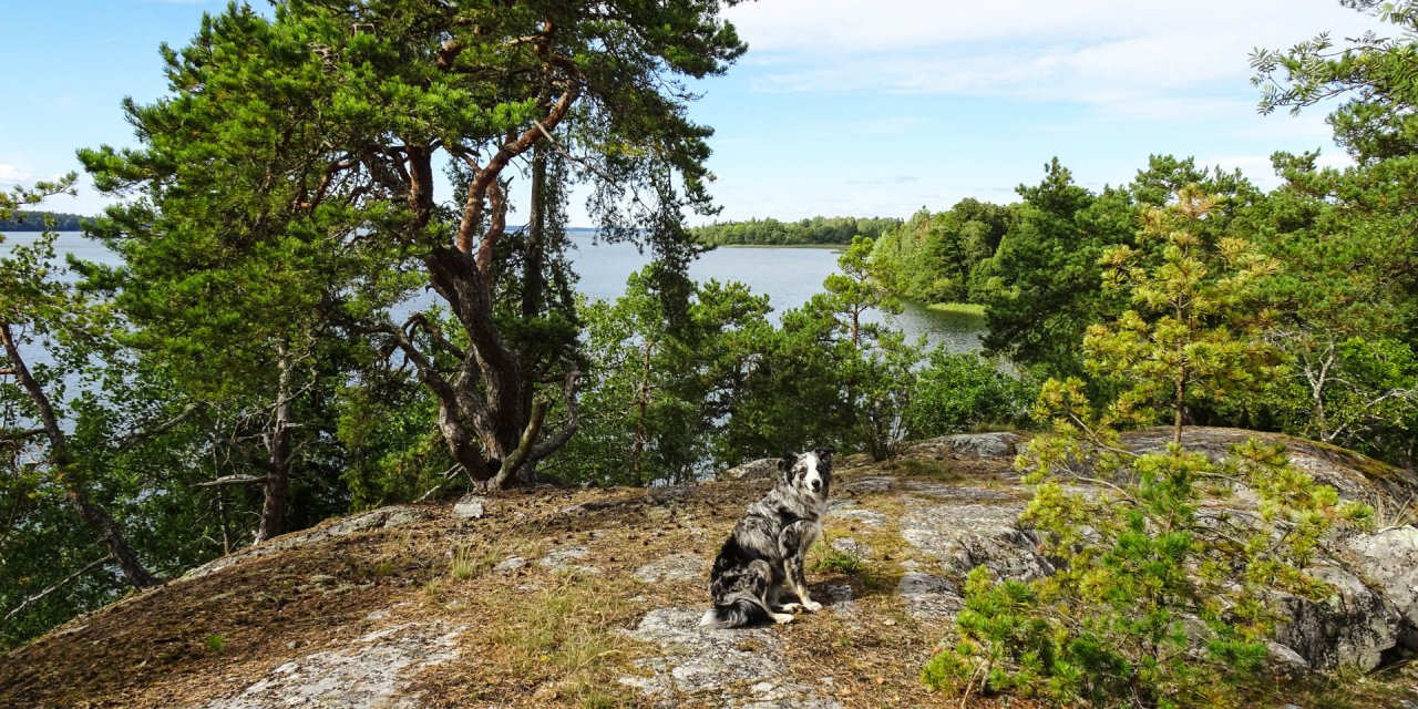 Väsby Hage Naturreservat 2016