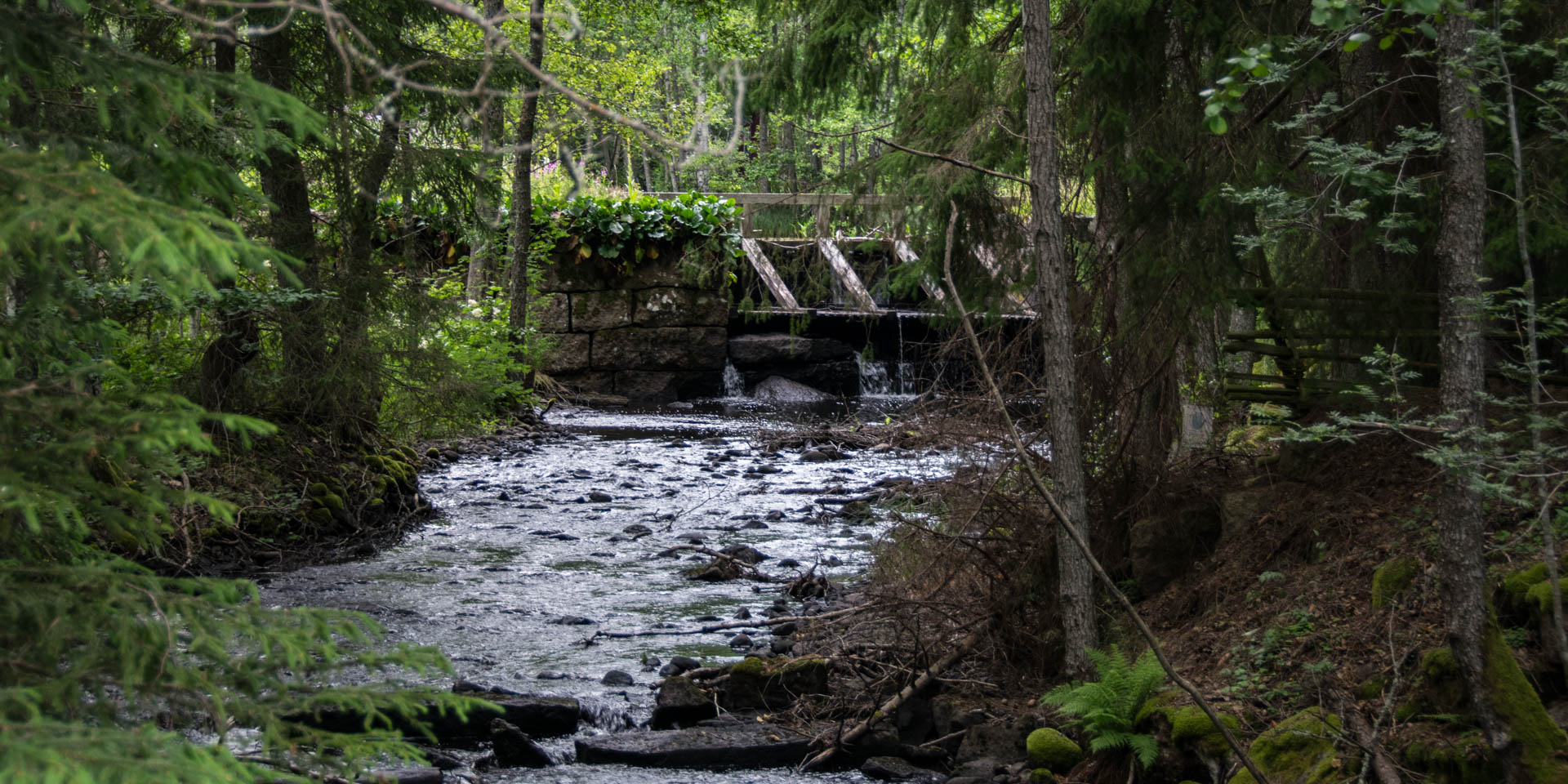 Hässleby-Silveråns Naturreservat 2017