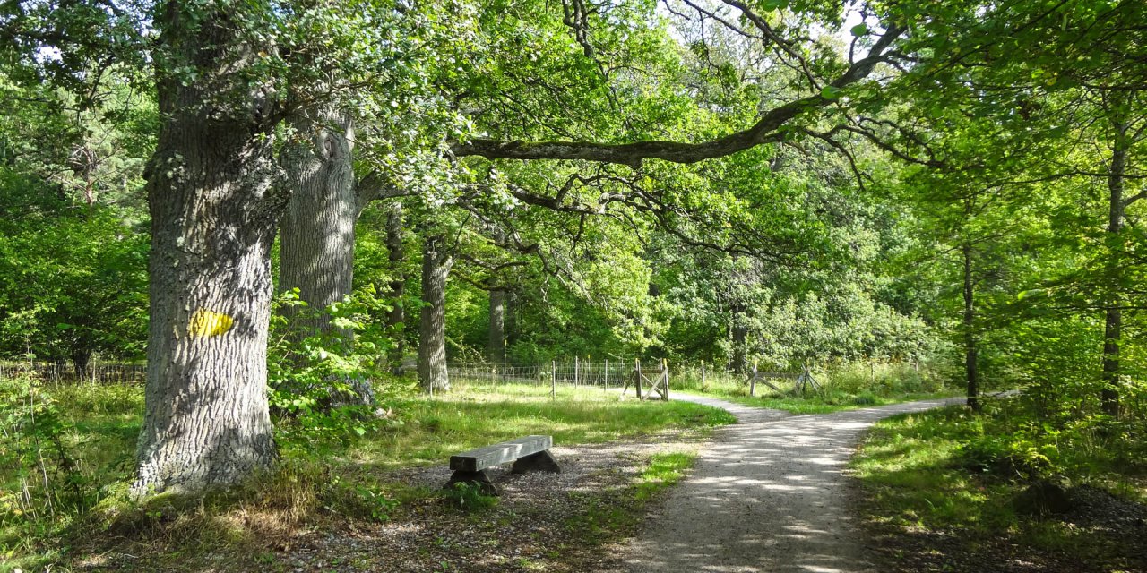 Kronskogen-Stenby Ängs Naturreservat 2014