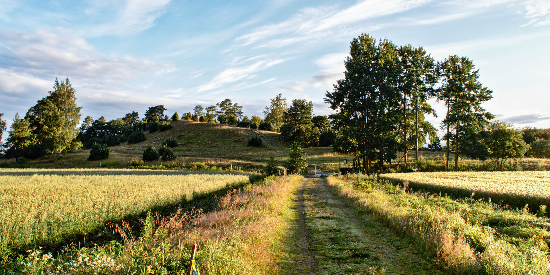 Sofiebergsåsens Naturreservat 2015