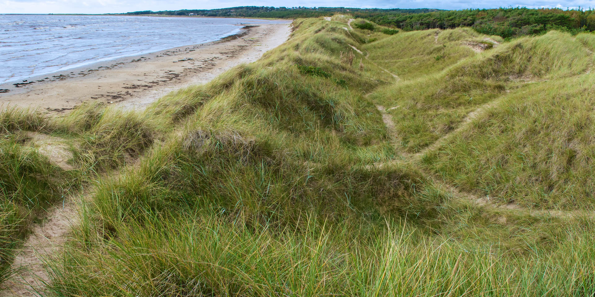 Vesslunda Naturreservat 2012