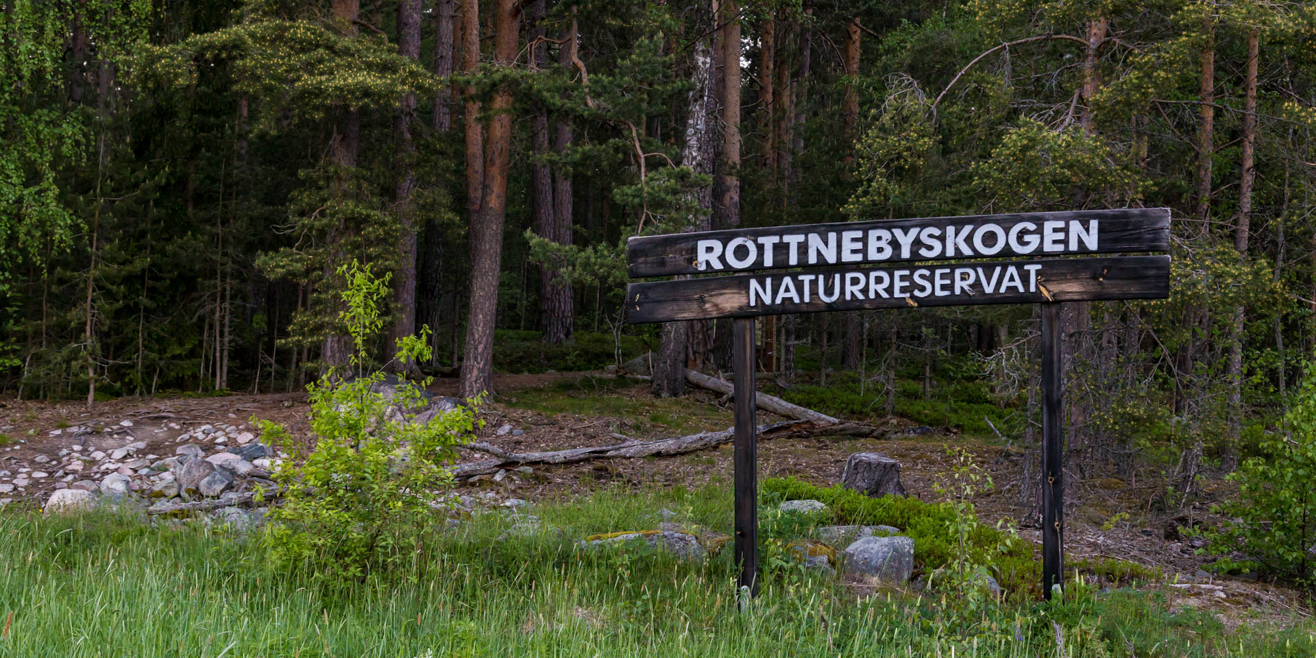 Rottnebyskogens Naturreservat 2019