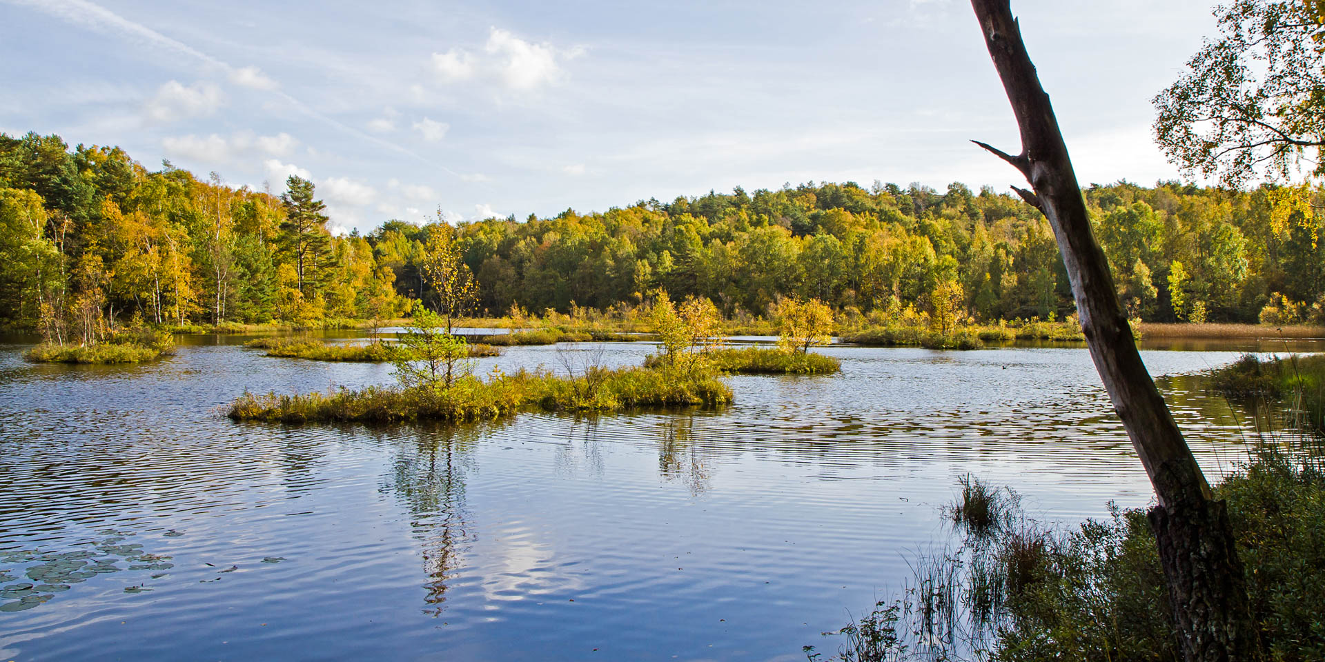 Änggårdsbergens Naturreservat 2011