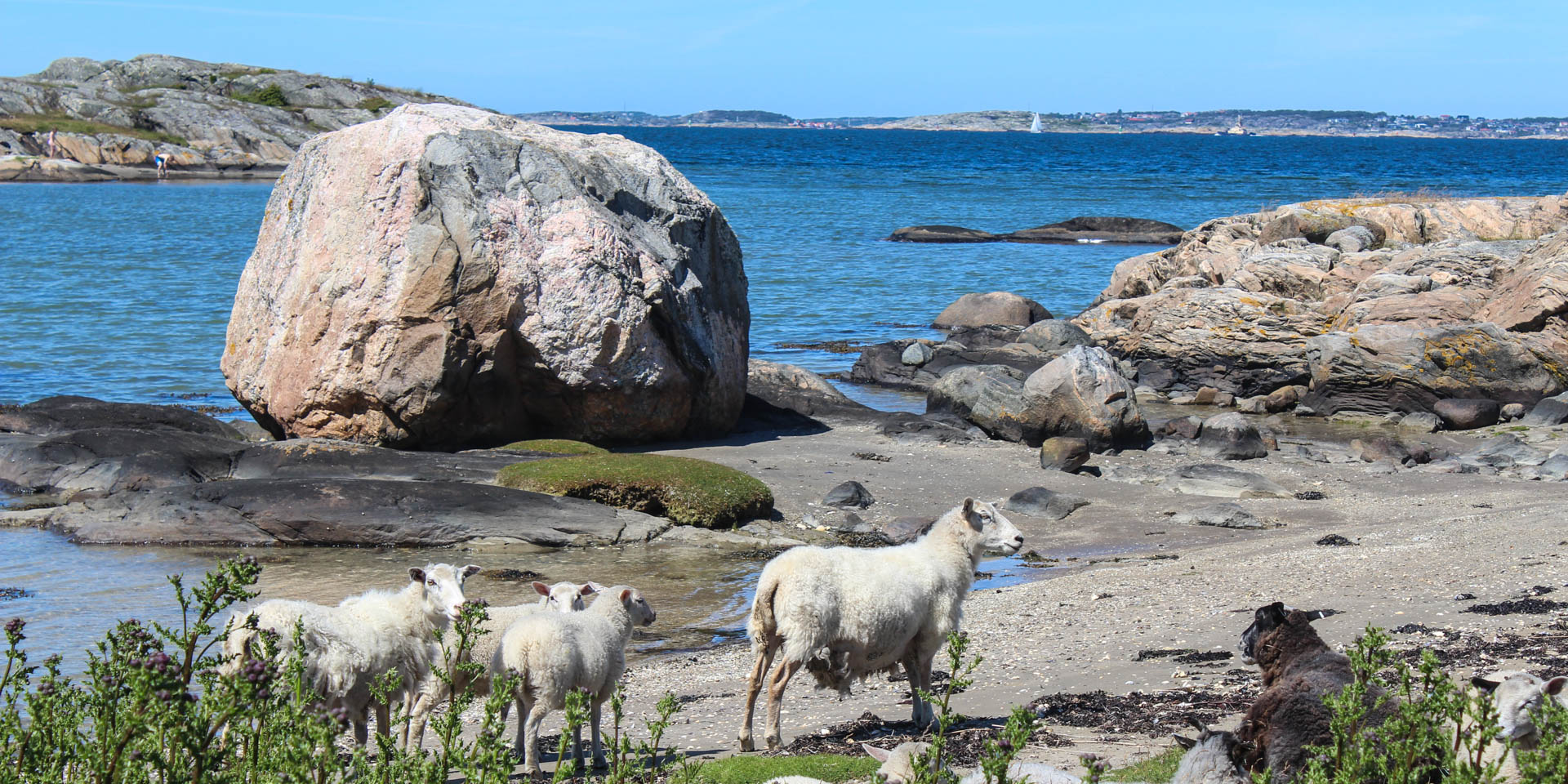 Galterö Naturreservat 2015