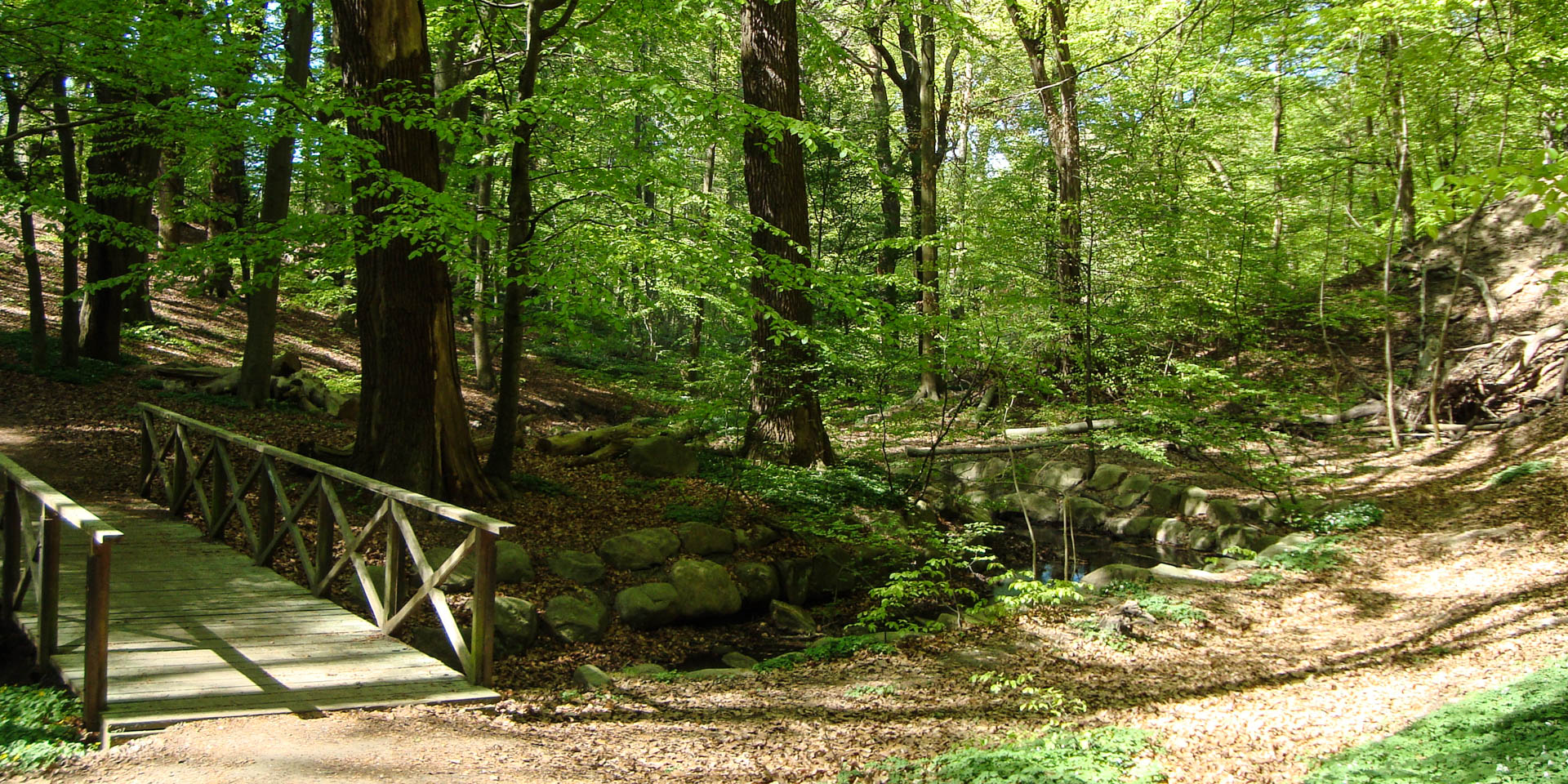 Pålsjö Skog 2009