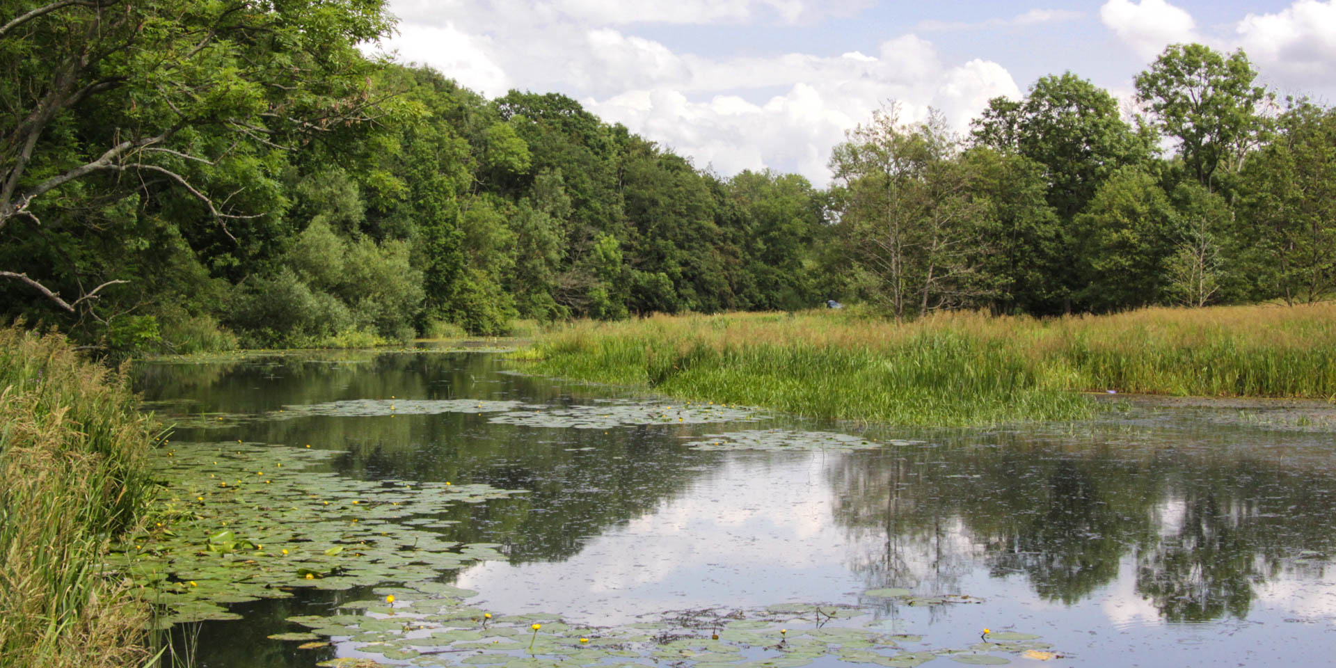 Rååns Dalgångs Naturreservat 2009