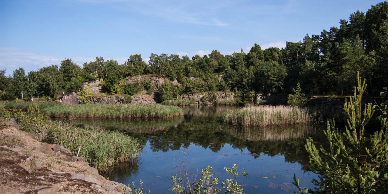 Bölsåkra-Tranekärr Naturreservat  2011