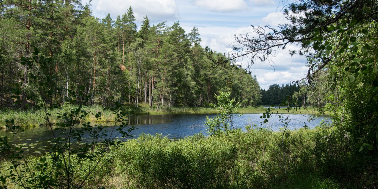 Björnnäsets Naturreservat 2017