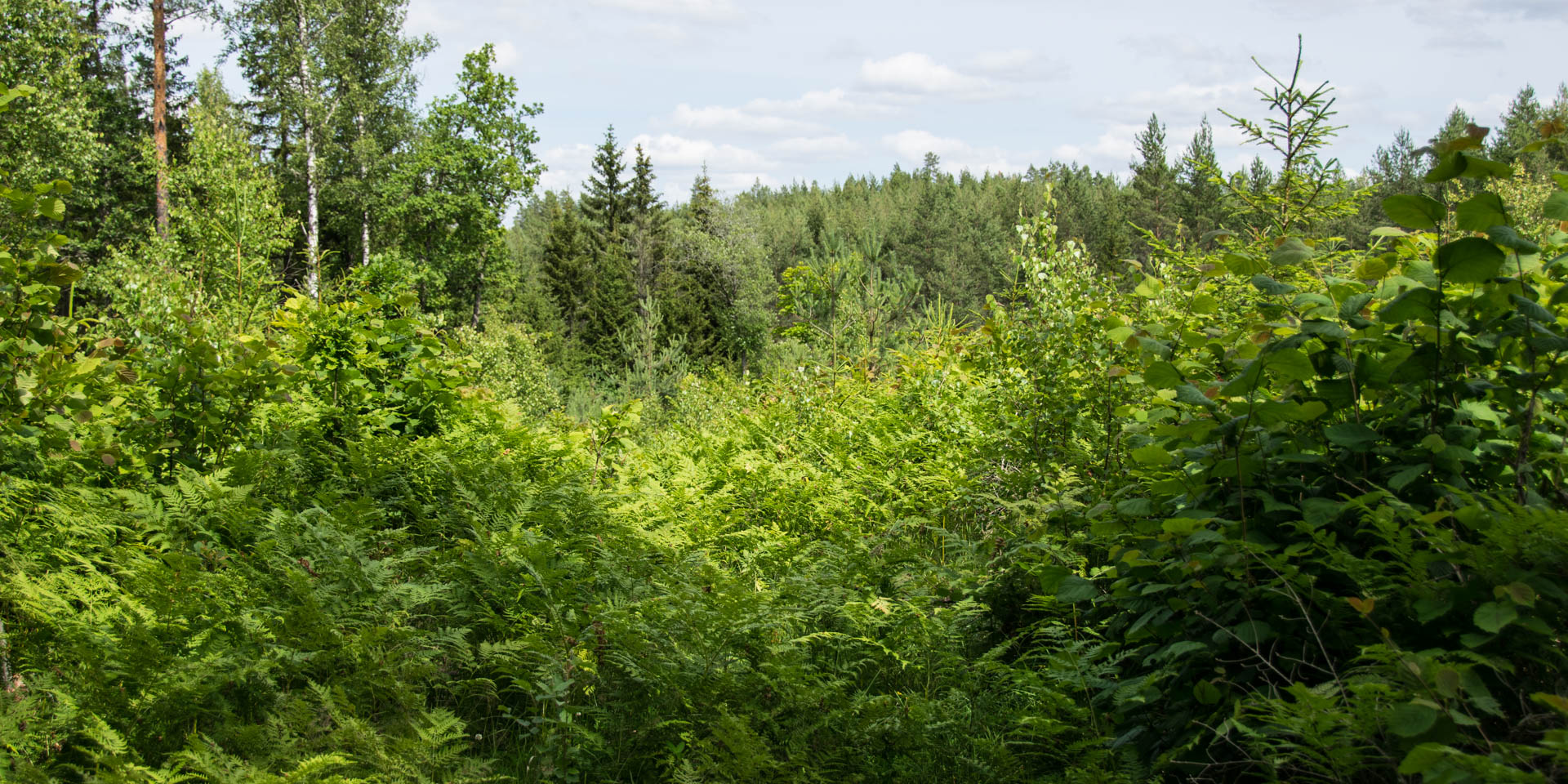 Knästorps Naturreservat 2017