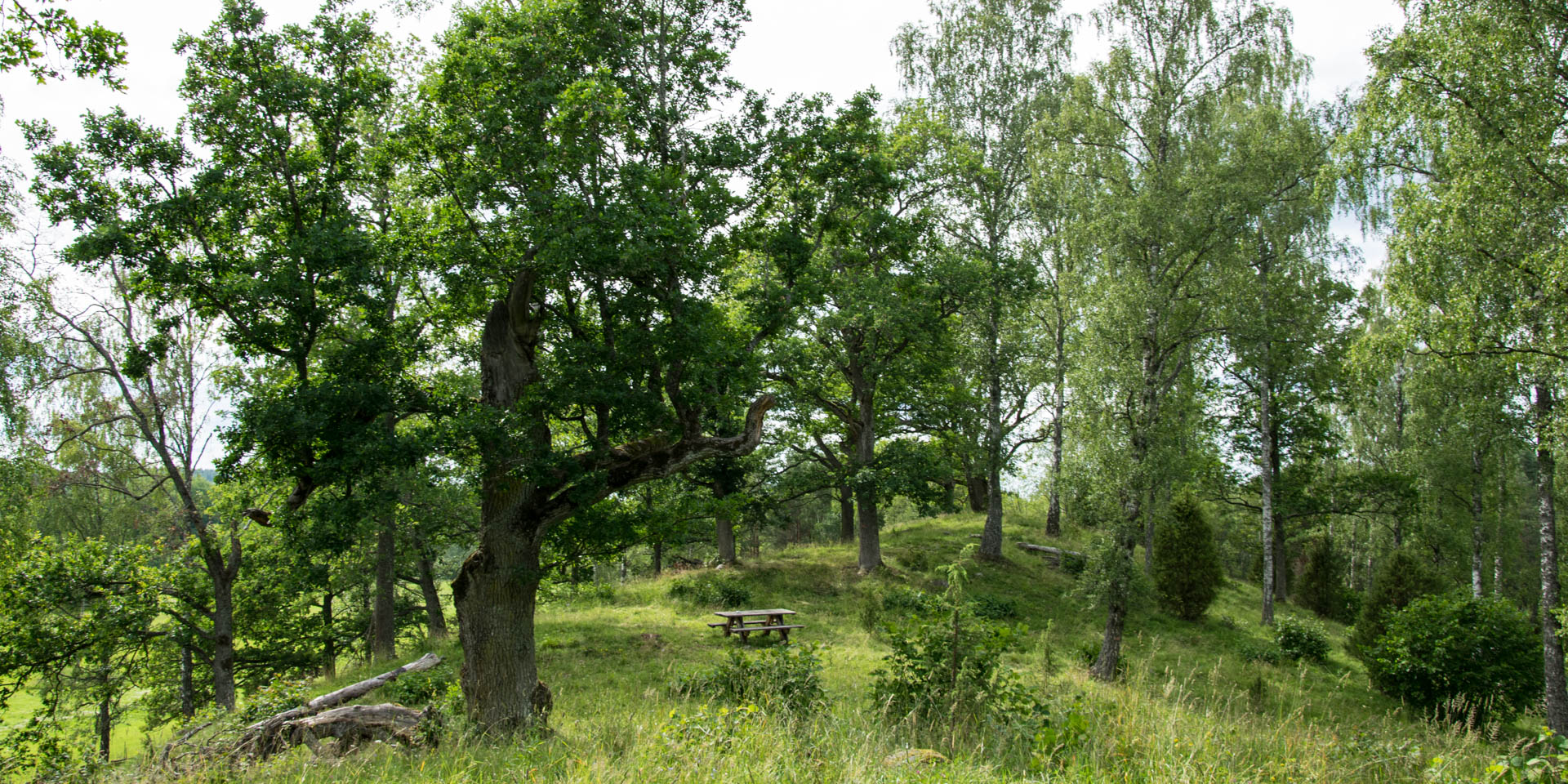 Lundens Naturreservat 2017