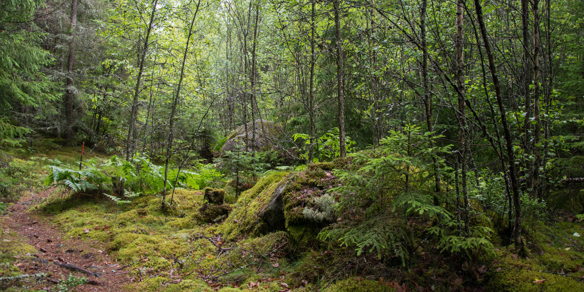 Bökemåla Naturreservat 2017