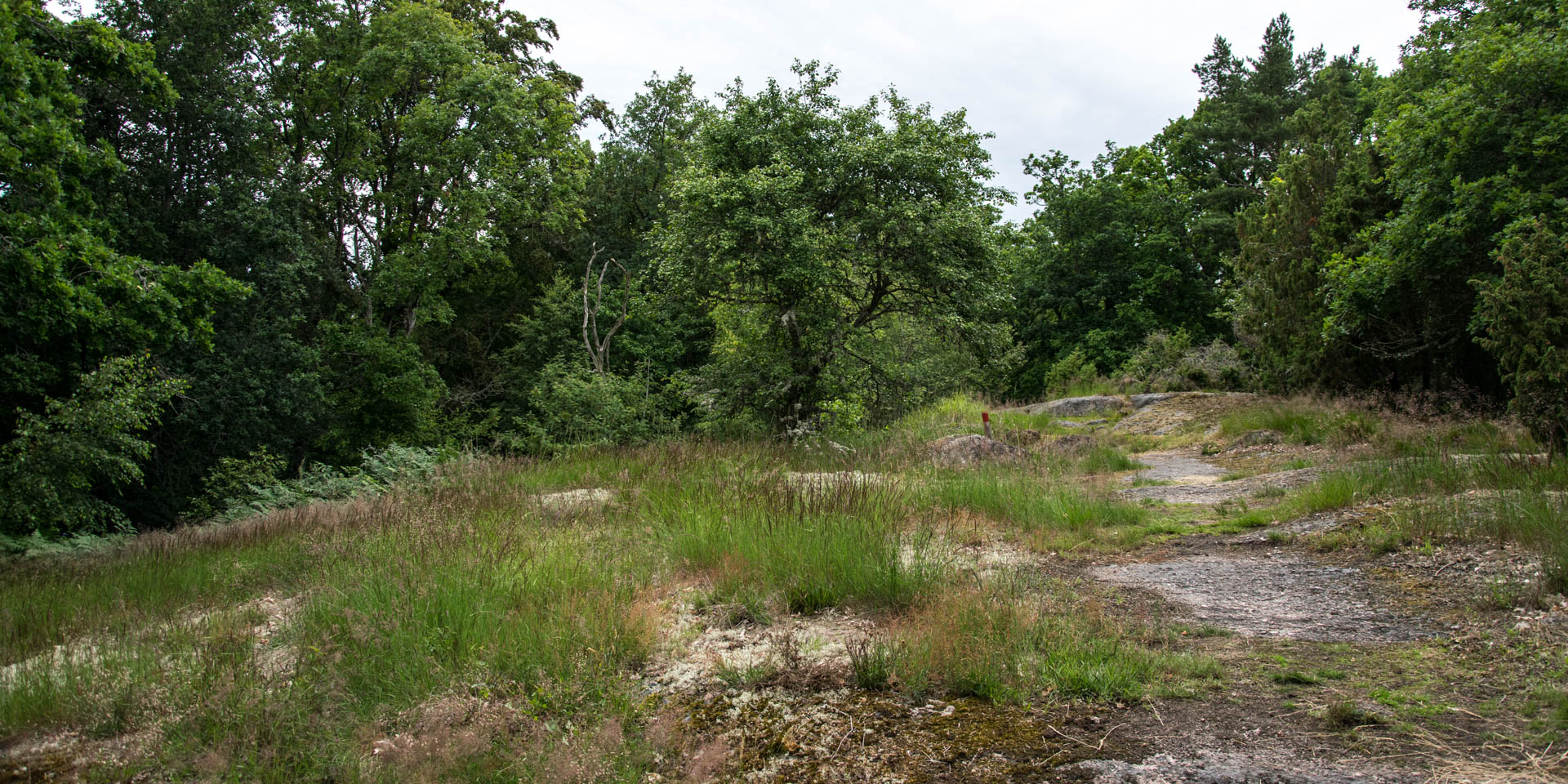 Eriksbergs Stränder Naturreservat 2017