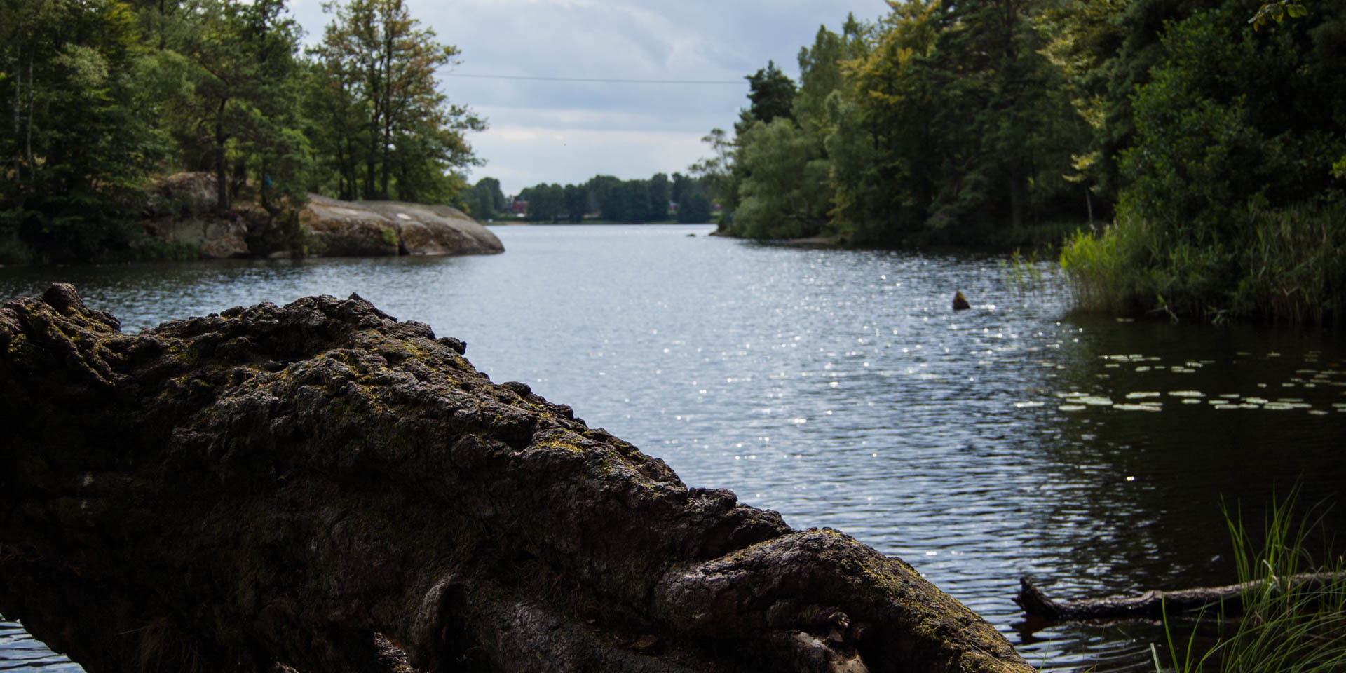 Långasjönäs Naturreservat 2015