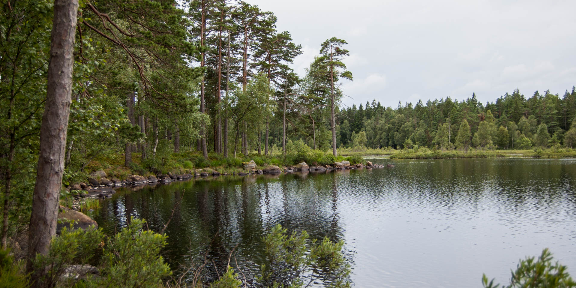 Visjön Naturreservat 2015