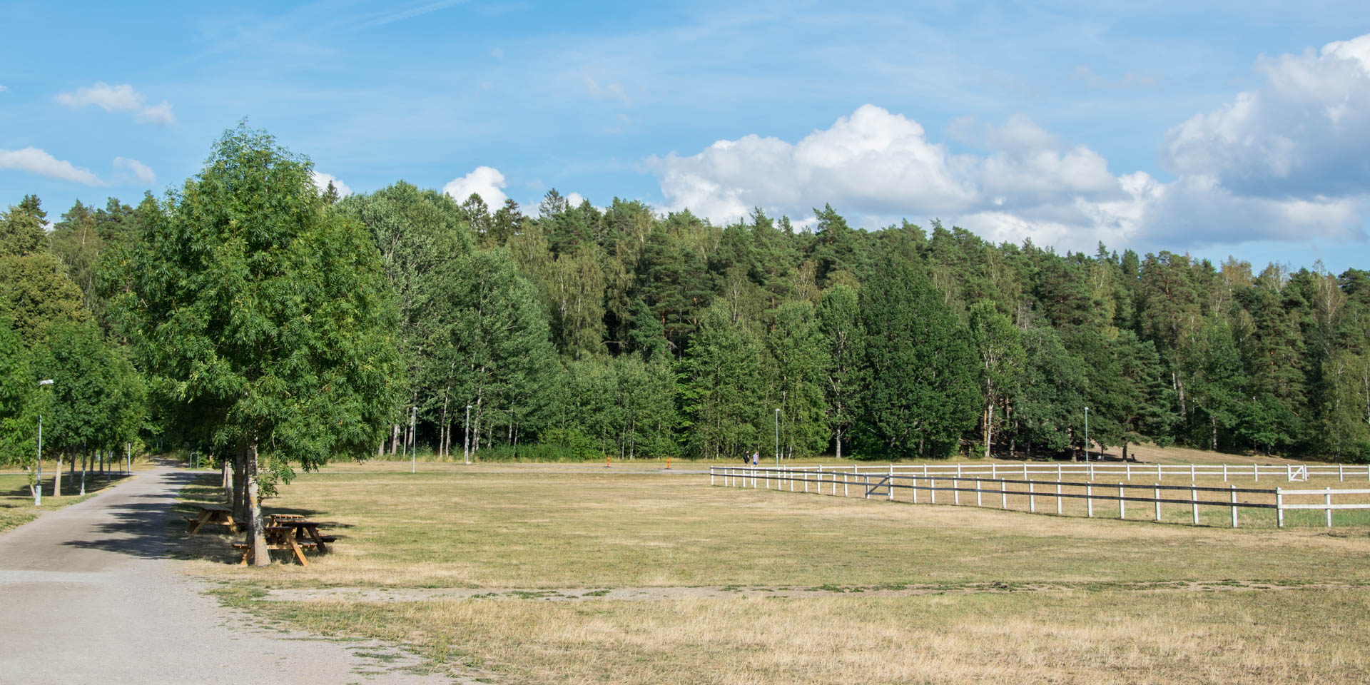 Vallaskogens Naturreservat 2018