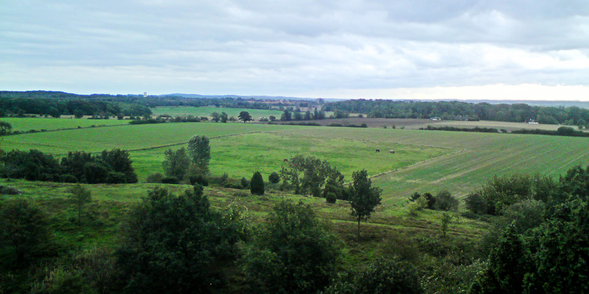 Billebjers Naturreservat 2008