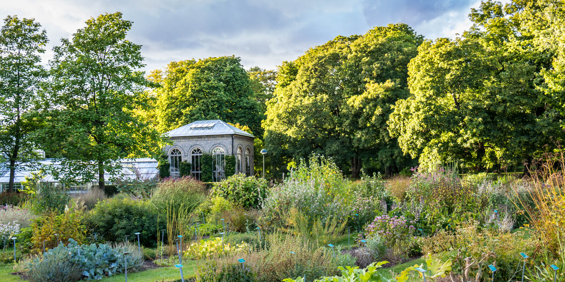 Botaniska Trädgården 2016