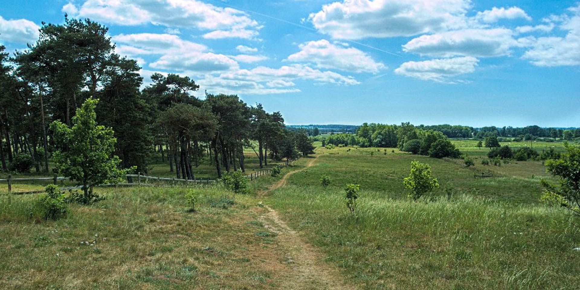 Flyinge Ängars Naturreservat 2016