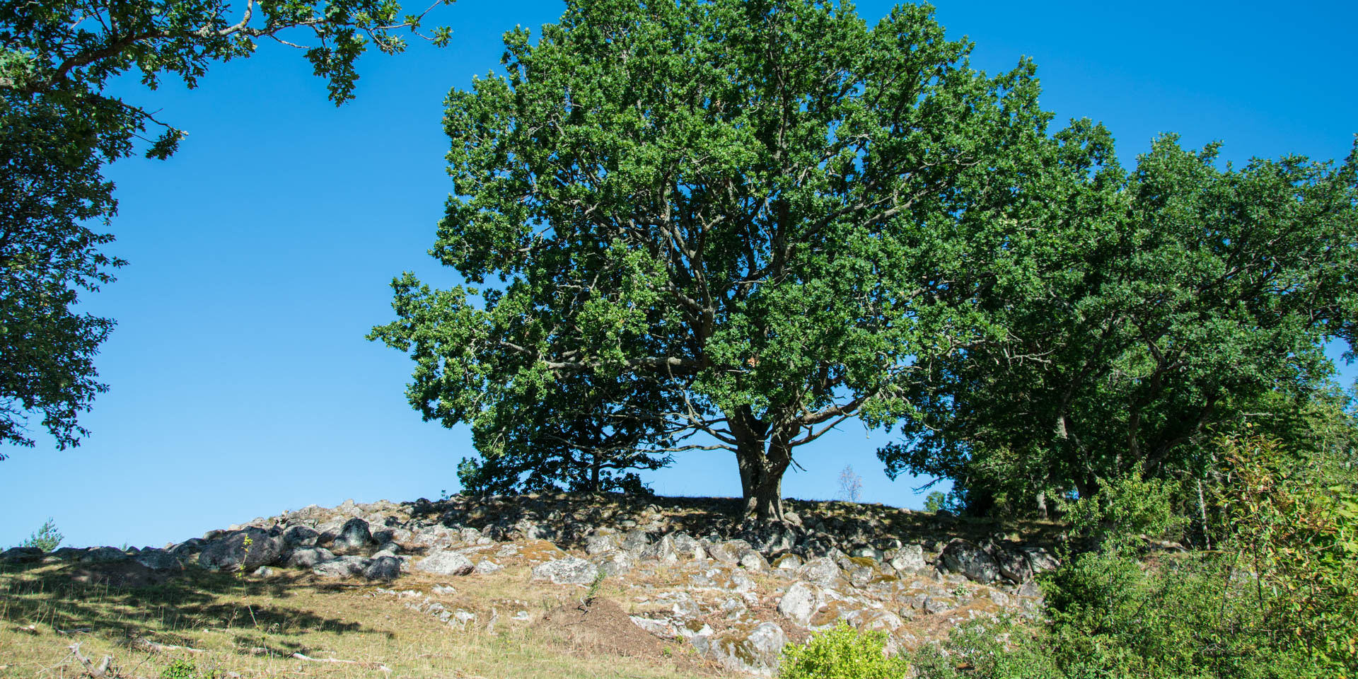 Bobergets Fornborg 2018