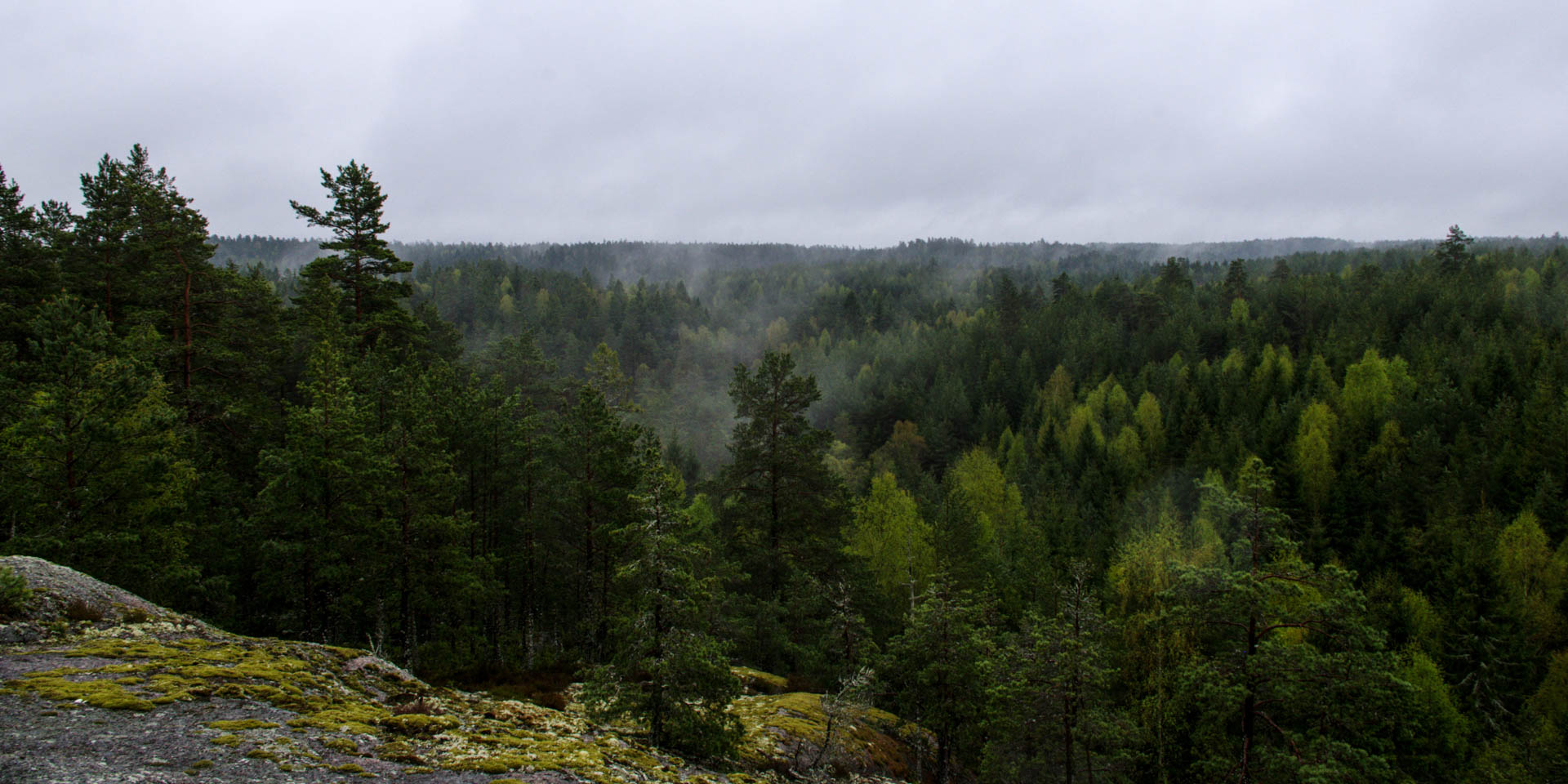 Glotternskogens Naturreservat 2014