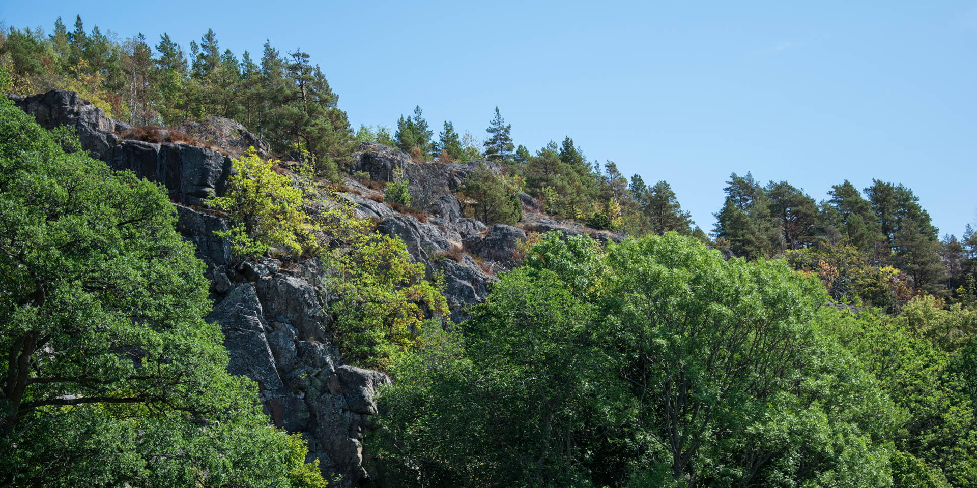 Norrkrogs Naturreservat 2018