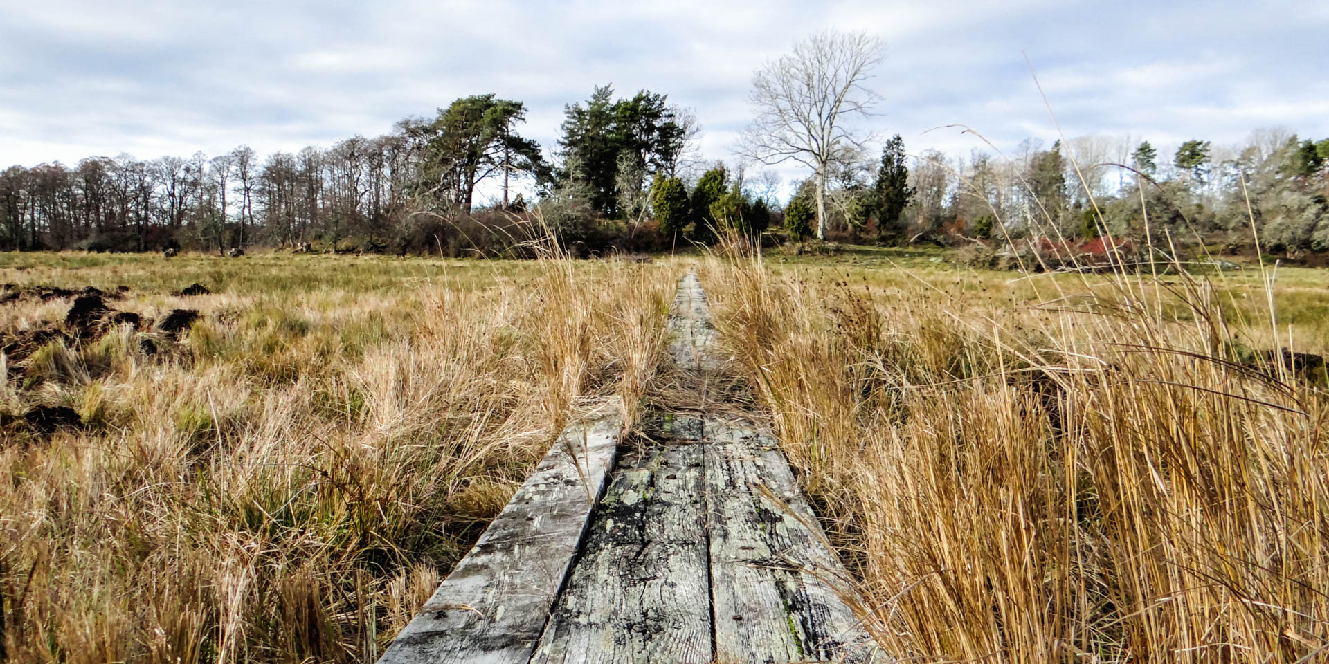 Nynäs Naturreservat 2019