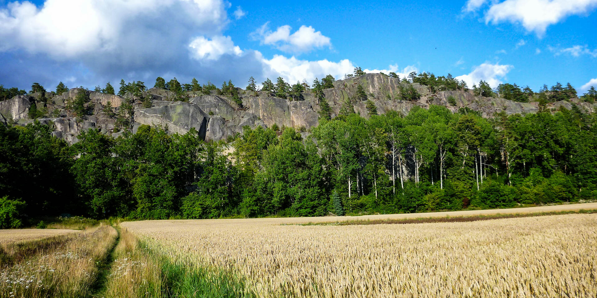 Simonbergets Naturreservat 2017