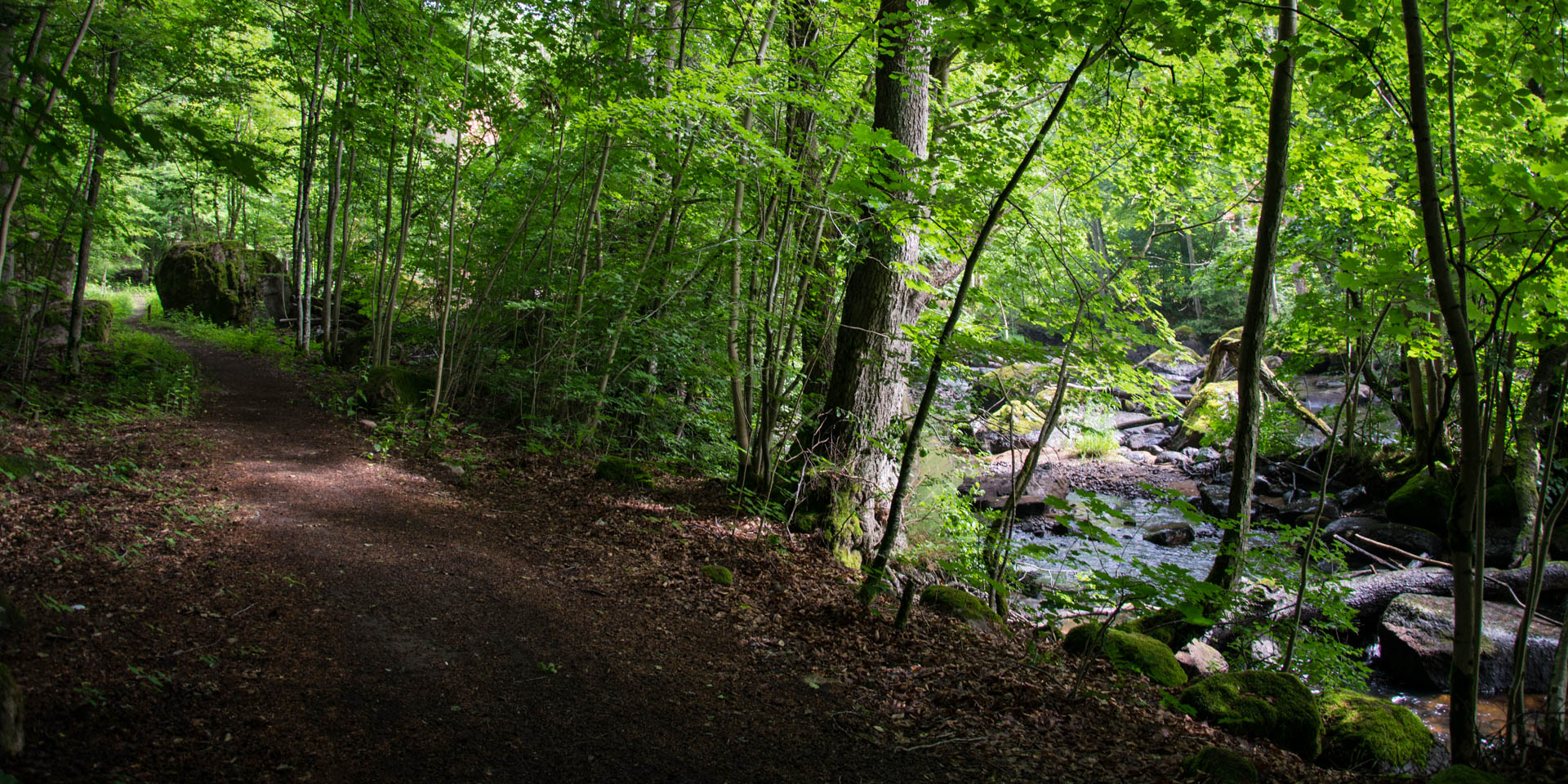 Ljungryda & Östafors Bruk Naturreservat 2016