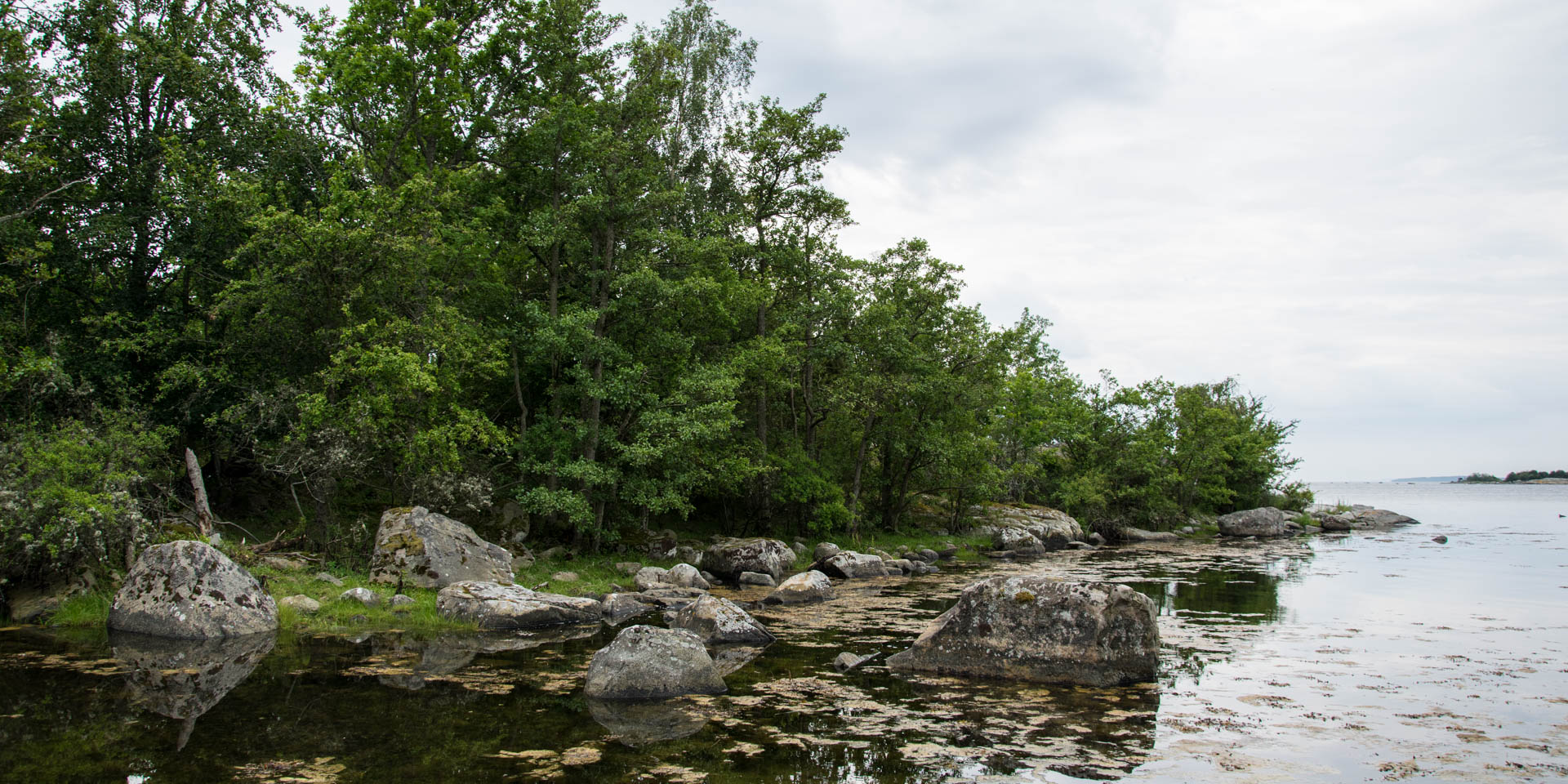 Garnanäs Naturreservat 2017