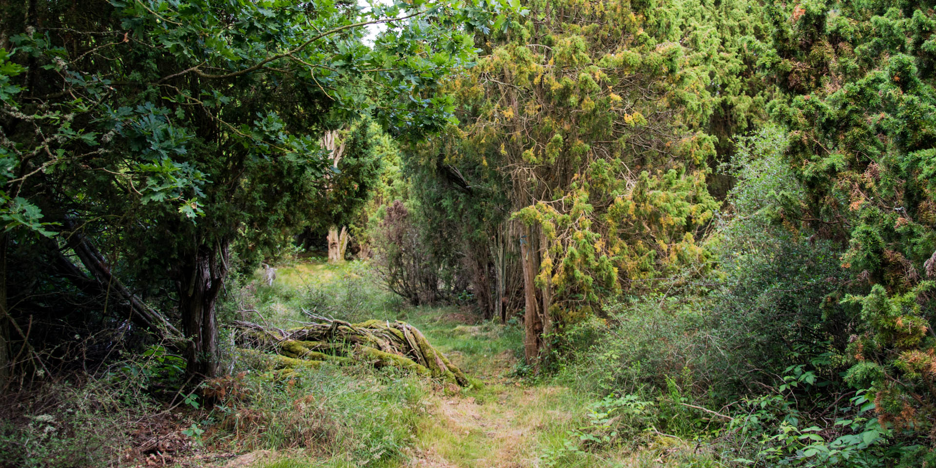 Jordö Naturreservat 2017