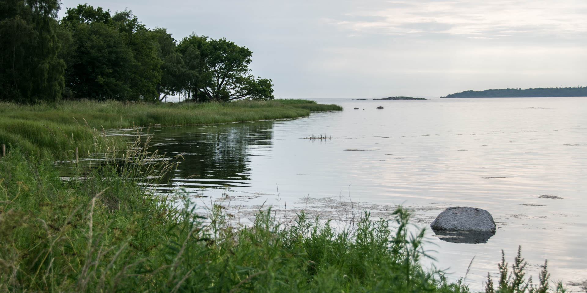 Lindö Udde Naturreservat 2017