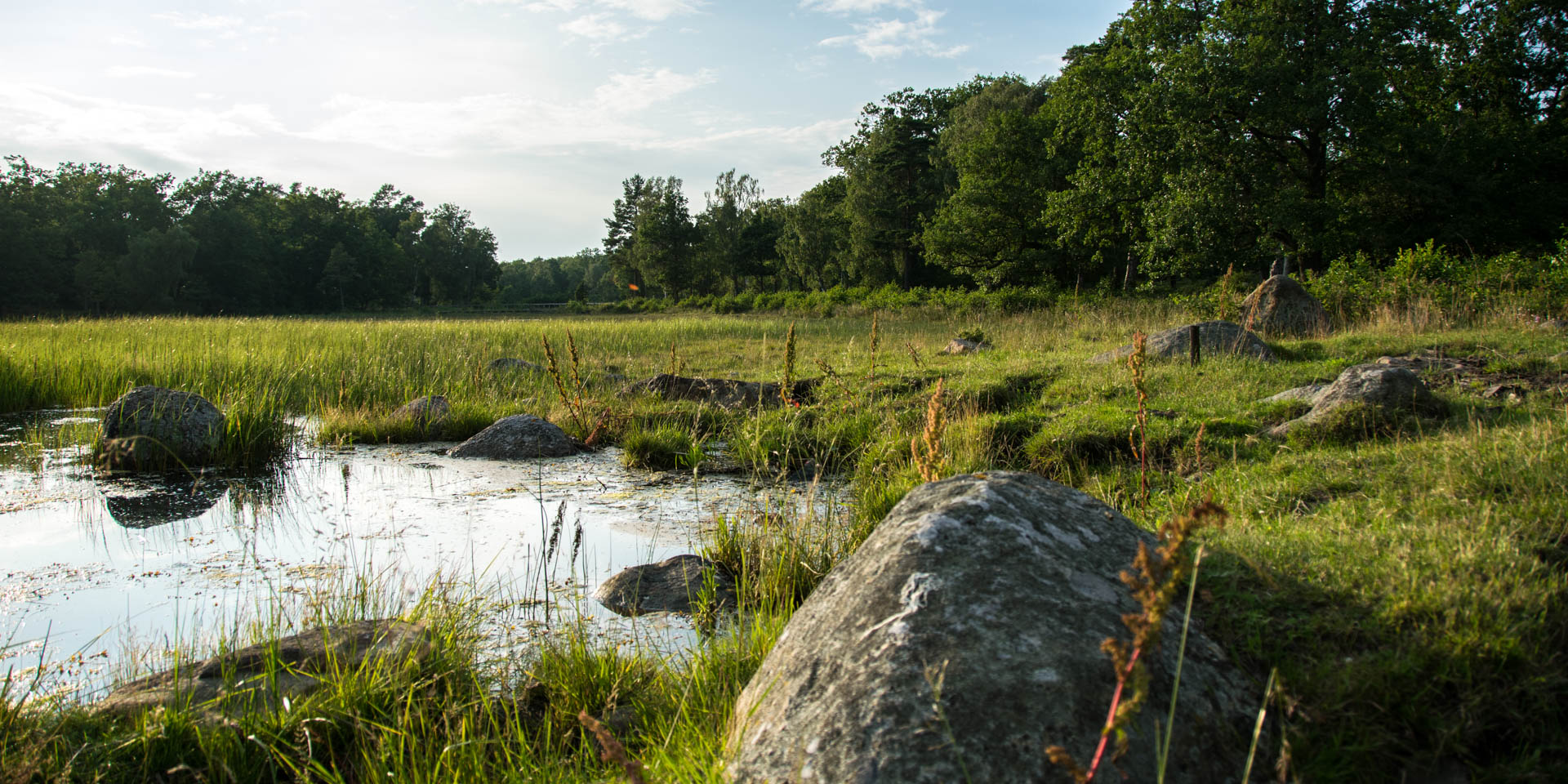 Vambåsa Hagmarker Naturreservat 2017