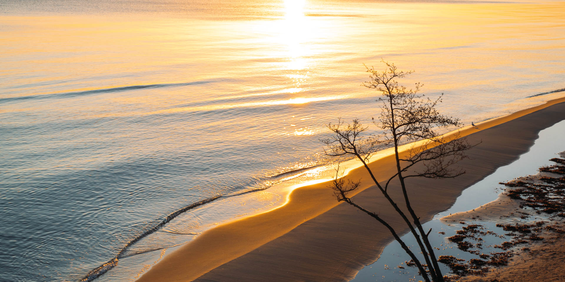 Knäbäckshusens Strand 2019