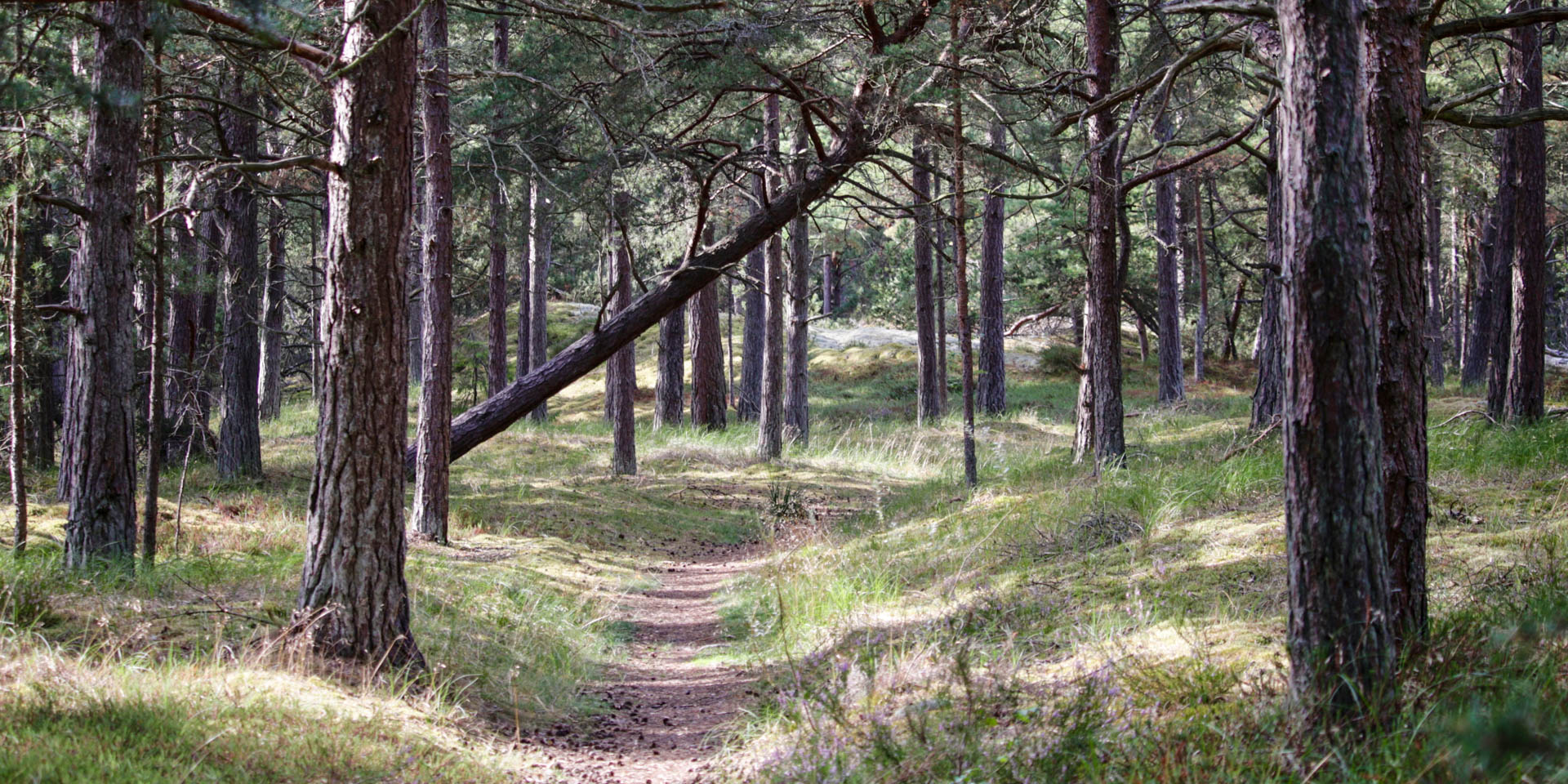 Mälarhusens Naturreservat 2018