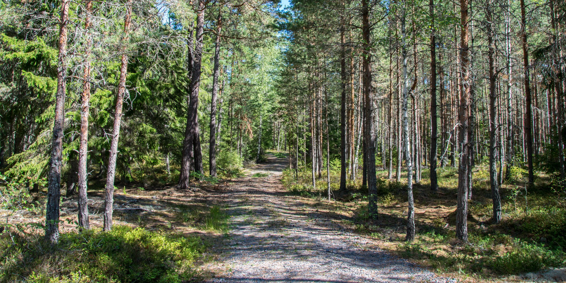 Svartdalens Naturreservat 2018