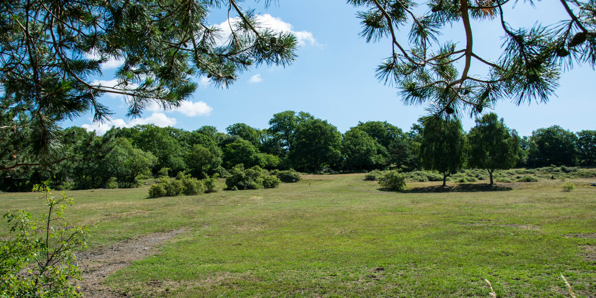 Stiby Backe Naturreservat 2016