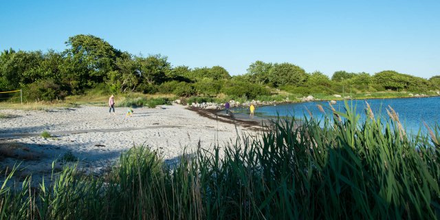 Tredenborg Väst Badplats - Beach in Sölvesborg | GuidebookSweden