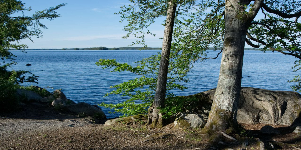 Åsnens Nationalpark 2019