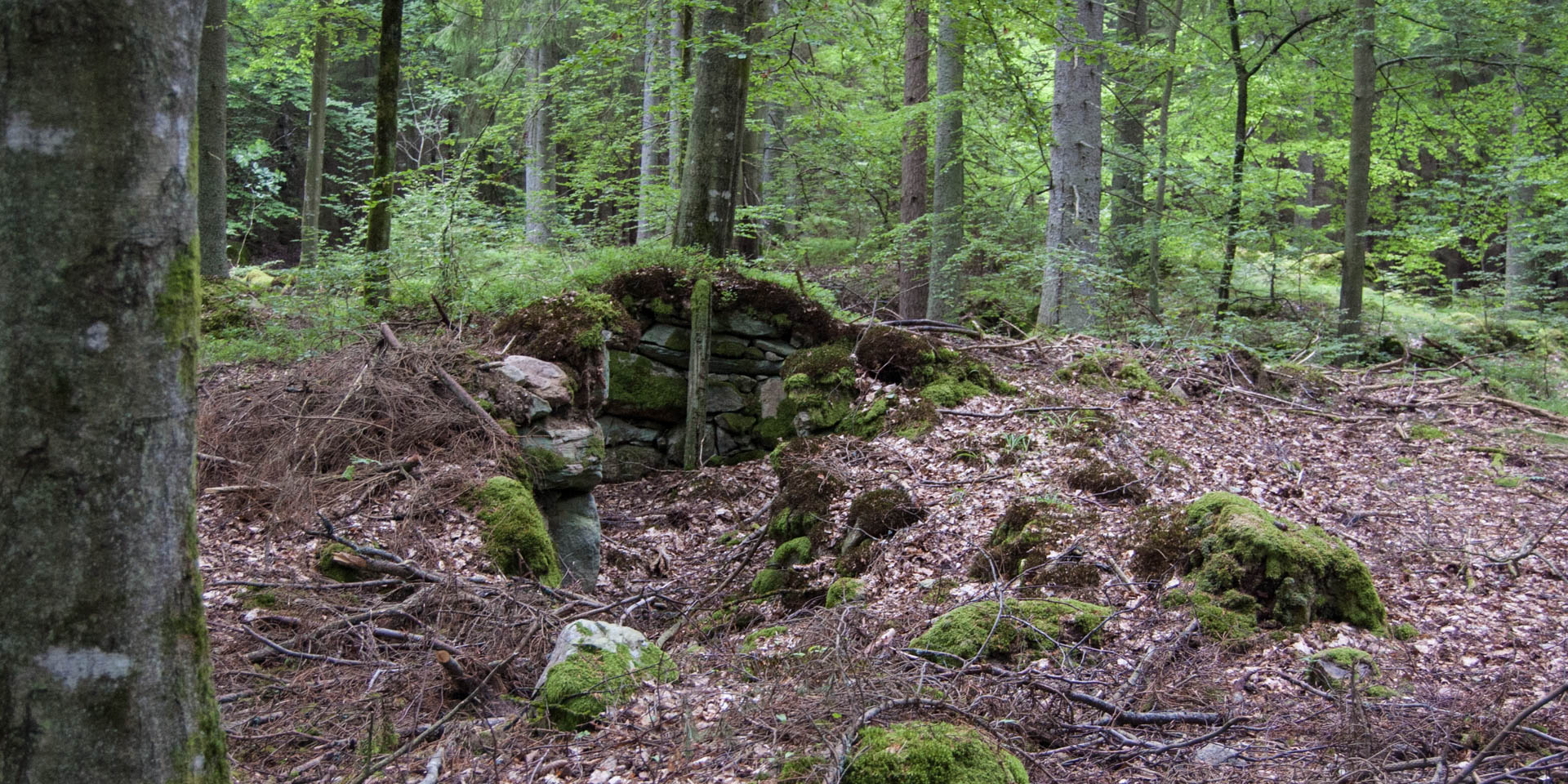 Midingsbråte Naturreservat 2015