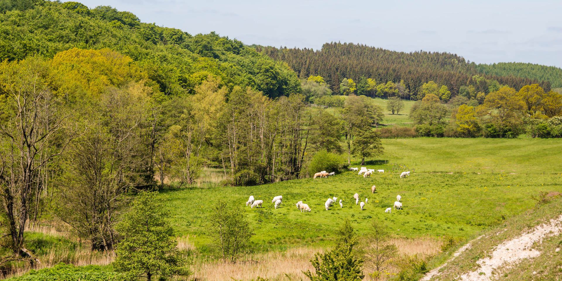 Fyledalens Naturreservat 2015