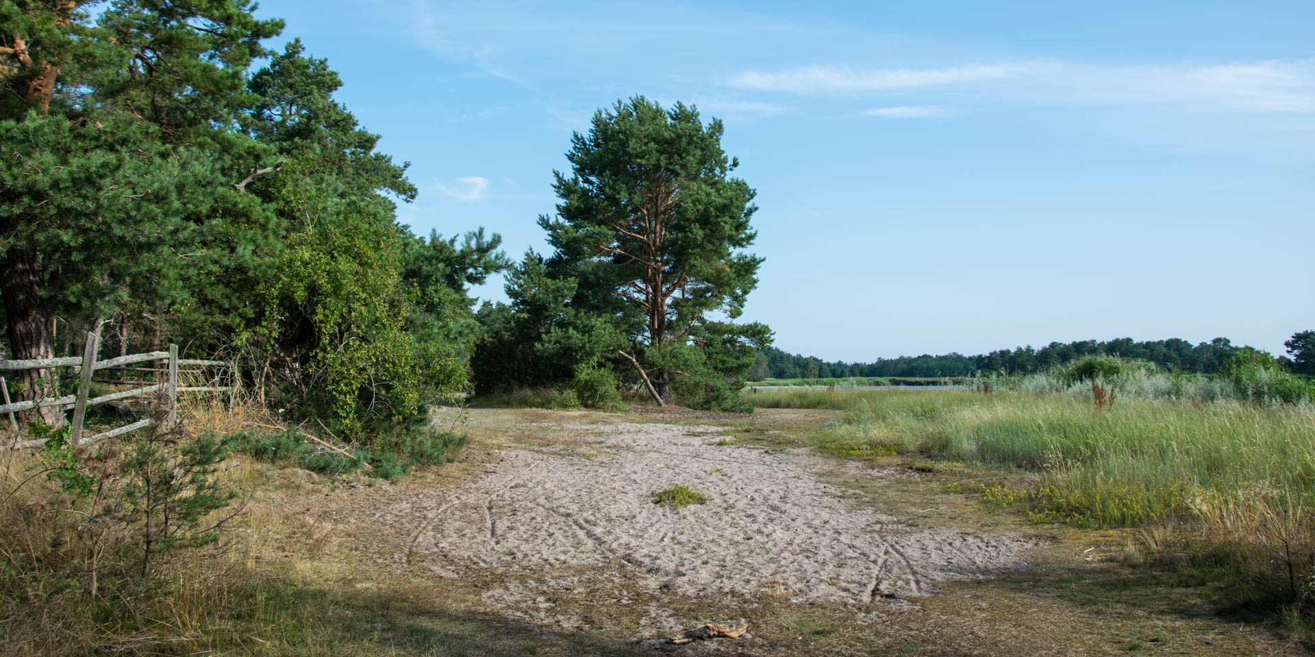 Örarevets Naturreservat 2019