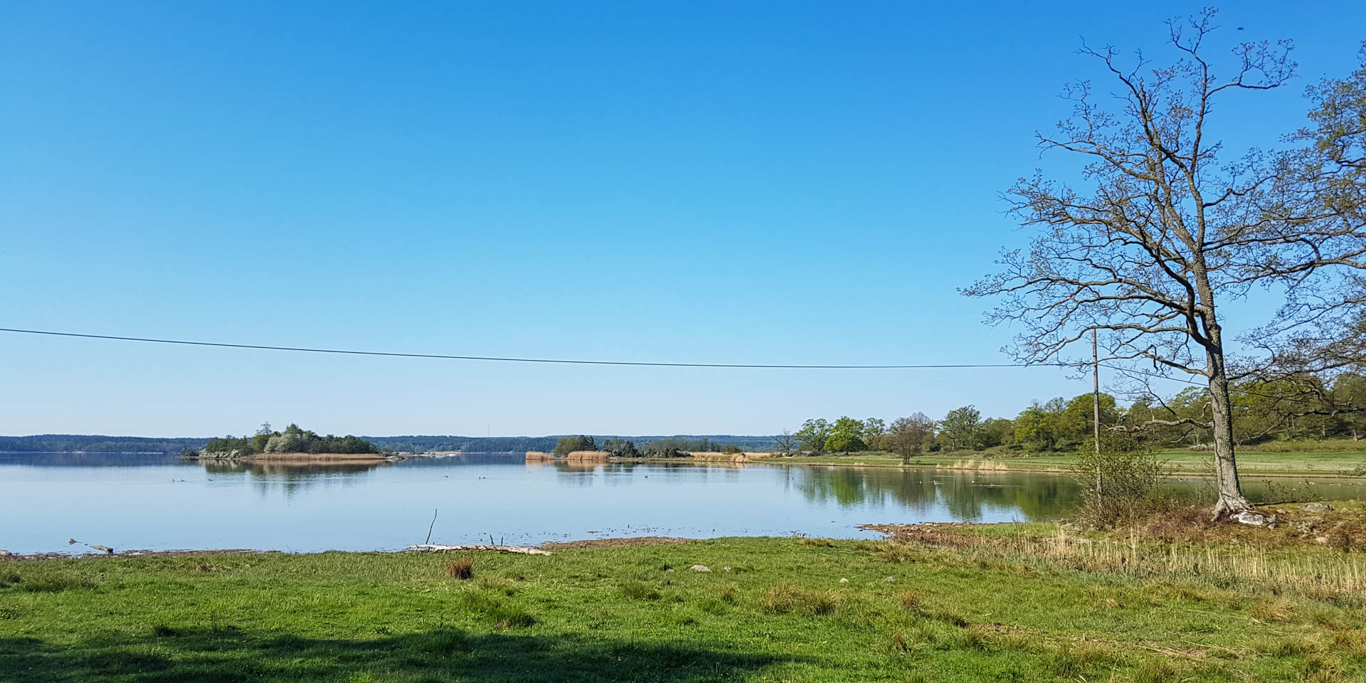 Segersgärde Naturreservat 2016