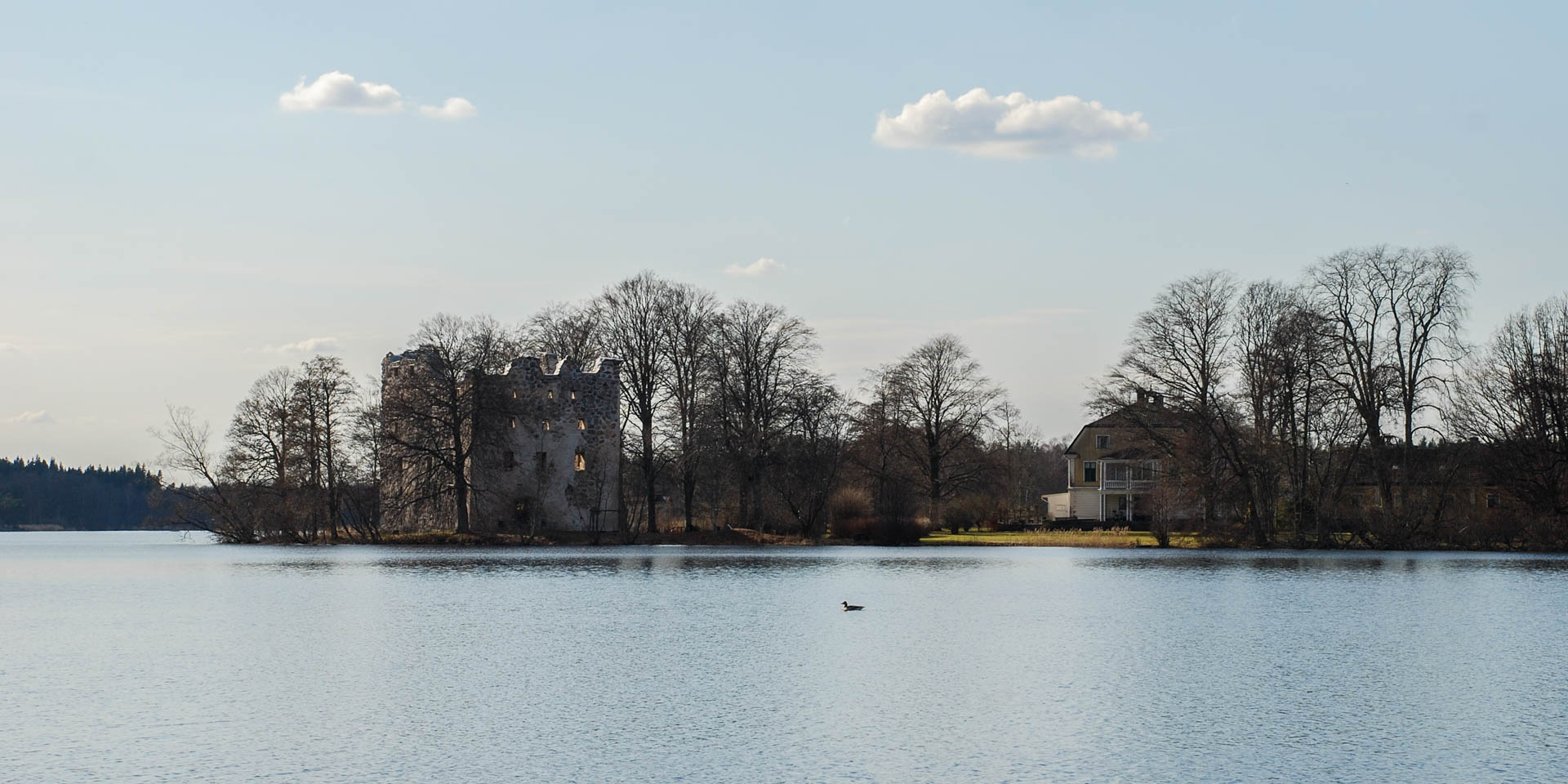 Bergkvara Slottsruin 2010