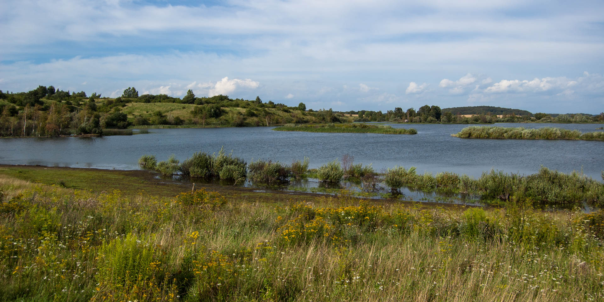 Arriesjön-Risebjärs Naturreservat 2011