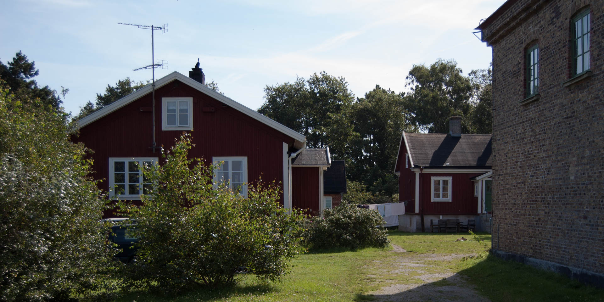 Falsterbo Fågelstation 2011